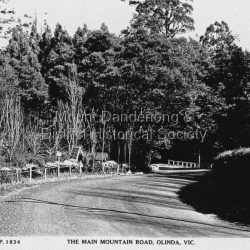 Copy of Rose Series Postcard # 1834 showing the Main Road, Olinda looking towards Sassafras. The Lich gate and 'Hathaway" on LHS. c1950s. Copy of Rose Series Postcard number 1834: Copy of Rose Series Postcard # 1834 showing the Main Road, Olinda looking towards Sassafras. The Lich gate and 'Hathaway" on LHS. c1950s.