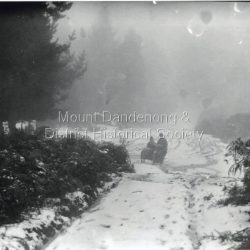A motorcycle with sidecar travelling down a snow covered road at Olinda. possibly Chalet Road. c1921.