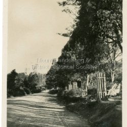 Number 8 in commercial series.: Small photograph, number 8 in Olinda series, showing the road view looking towards sassafras. Note wooden picket tree guards and two ladies sitting on seat on RHS. Road not yet made. Late 1930s.