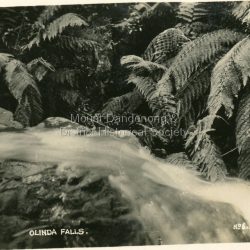 Number 6 in commercial series.: Small photograph, number 6 in Olinda series, showing view of Olinda Falls with ferns in background. Late 1930s.