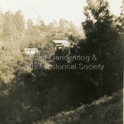 Quamby Cottage LHS and Quamby Café the larger building RHS. Cottage and café built by the Dorey family in 1914. Photograph taken from the hill opposite (possibly near Cloudehill on Olinda -Monbulk Road. Cottage was destroyed by fire. Quamby Café now Cuckoo Restaurant.: On back of photograph - Quamby + cottage from opposite hill.