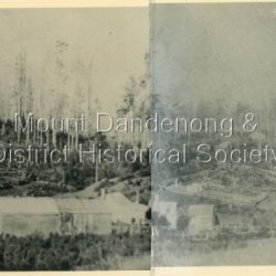 Sections 3 & 4 of a 4 panorama of the Main Street of Olinda made up of 4 side by side photos.: 1904 view of Olinda looking across Mernda (later Coonara) Road towards the site of the future State School.