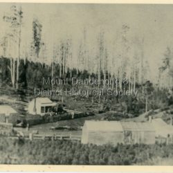 Olinda Main Street 1903 with Peter Witt's blacksmithy in the foreground opposite Hodges' Smithy and the Mission Hall. Reverse of photograph has handwritten description by John Lundy-Clarke. Olinda 1903 One of the photos which were used to compile the Panorama