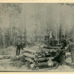 Scene showing 12 men at the Olinda Rifle Range in 1903. One man firing rifle. Reverse of photograph has handwritten description by John Lundy-Clarke.: The Rifle Range at Olinda 1903. Was in the area of the Rhododendron Gardens by Georgian Road and the Golf Links.