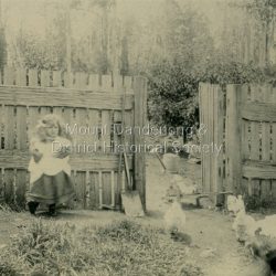 Photograph of young Jessie Ebbels at home c1904 with chooks (chickens) in the foreground and gardening implements visible.