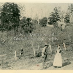 1890 picture of George Dodd and his daughter Jessie (Mrs Ebbels) with the Dodd home in the background. The descriptive text on the reverse of this photograph was hand written by John Lundy-Clarke.: 1890 picture of George Dodd with his daughter Jessie (Mrs Ebbels) with the Dodd home in the background. Remains of the house were burned in the bushfires between 1910 and 1926 when Alan grandson of George and his wife Vera, nee Devine, started to build their home on the same spot and developed the present extensive flower farm Rainbow Gully.
