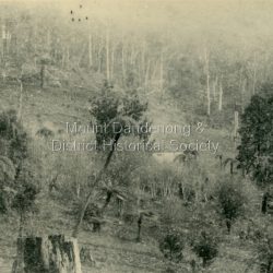 1895 picture of the home of George Dodd built c1880. Shows the Selector's Road made in the 1880s from Pig Lane in The Basin to the road in front of the Mt Dandenong Hotel.The descriptive text on the reverse of this photograph was hand written by John Lundy-Clarke.: 1895 picture of the home of George Dodd built about 1880 showing the road the selectors made in the 1880s from Pig Lane to the main road in front of the present Mt Dandenong Hotel near the present end of the Basin-Olinda Road. It was never gazetted as a road as the Bruces objected to it and landslides in 1891 closed it temporarily and later landslides closed it permanently.