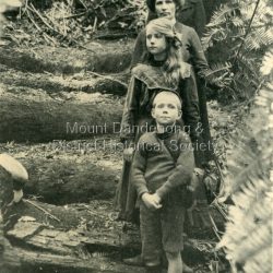 Photograph taken in LyreBird Gully of Miss Stewart (top) and her sister Mrs Devine with the Devine children Vera and Stewart. 1911: 1911 From top Miss Stewart and her sister Mrs Devine Vera (Mrs Alan Dodd) Stewart. In Lyrebird Gully Mrs Dodds collection. Copied by J.L.C. 1974.