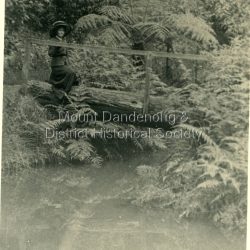Miss Stewart in large, shady hat posed on a log bridge at Nathania Springs in 1911. The descriptive text on the reverse of this photograph was hand written by John Lundy-Clarke.: Miss Stewart at Nathania Springs 1911 Photo from Mrs A Dodds collection. Copied 1974 by J.L.C.