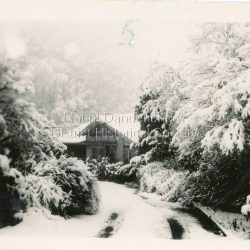 House at Olinda surrounded by snow laden trees c1950