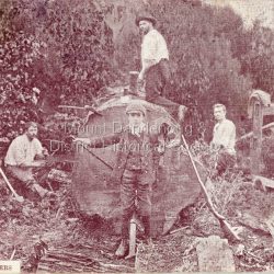 Postcard with title RAIL SPLITTERS printed on the front showing three men and a boy at a large, sawn tree. They all have implements used for cutting and sawing. There is a long gun leaning on the front of the felled tree. The postcard was written by Fred Dorey and sent to his sister Mary.in 1905.: POSTCARD MT. DANDENONG SERIES Handwritten in black ink on back: Miss M Dorey 35 Smith Street Fitzroy Mt Dandenong 22.10.05 Dear Mary Write & let us know if you know this photo. Mrs Grant is getting a big boarding house up and Mrs Keys is going put up a new house hoping you are well I remain Your truly Fred