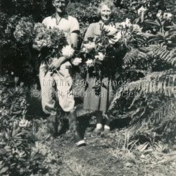 Iris Woolrich collecting cut flowers at Range View Nursery in Olinda with Henk Koelwyn in the 1950s.: Handwritten on the reverse in pencil: Henk & Iris