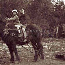 Children on horse with sled