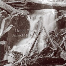 Olinda Falls taken through bark and ferns