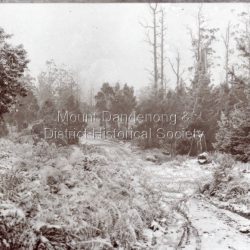 Snow covered road alongside Woolrich property at Olinda