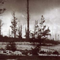 Overcast and snowing at Olinda