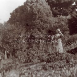 Woman in garden at Woolrich Nursery