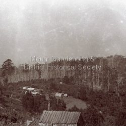 View across a cleared area at Olinda