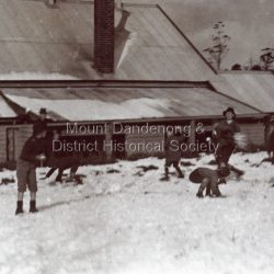 Children throwing snowballs at Olinda State School mid 1920s