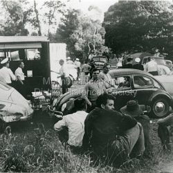 Scene at Olinda Township during the 1962 bushfires.