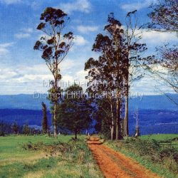 View from Olinda with Silvan Dam at far right