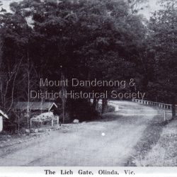 Identical to Rose Series Postcar P.4481