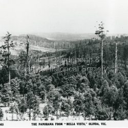 The panorama from Bella Vista, Olinda, Vic