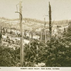Perrin's creek valley from Olinda, Victoria