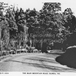 The main mountain road, Olinda, Vic
