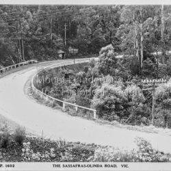 The Sassafras-Olinda Road, Vic