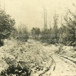 Snow scene on Mount Dandenong