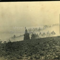 Misty scene overlooking farmer's field on Mount Dandenong