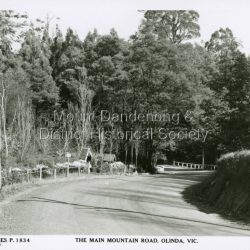 The Main Mountain Road now known as Mount Dandenong Tourist Road. The photo shows the Lich Gate. Taken fro the road outside the large house Kenloch
