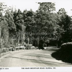 The Main Mountain Road now known as Mount Dandenong Tourist Road. The photo shows the Lich Gate. Taken fro the road outside the large house Kenloch