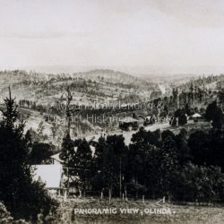 Photo taken over the top of Kenloch in Olinda, probably from close to Bella Vista