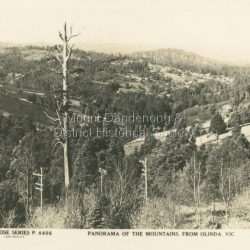 Panorama of the Mountains from Olinda