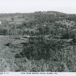 View from Mernda Road, Olinda, Vic