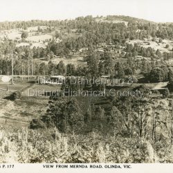 View from Mernda Road, Olinda, Vic