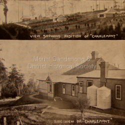 Photo, copied from the Tourists' Guide to the Dandenong Mountains (1904)