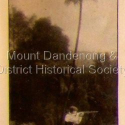 Photo, copied from the Tourists' Guide to the Dandenong Mountains (1904)