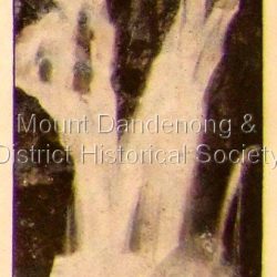 Photo, copied from the Tourists' Guide to the Dandenong Mountains (1904)