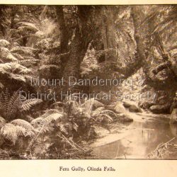 Photo, copied from the Tourists' Guide to the Dandenong Mountains (1904)