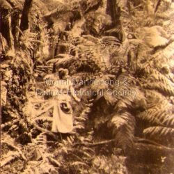 Photo, copied from the Tourists' Guide to the Dandenong Mountains (1904)