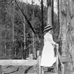 Miss Gwen Roberts, daughter of John and Roberta Roberts of Sunnyside, South Sassafras (now Kallista), climbing a style on the Monbulk Track
