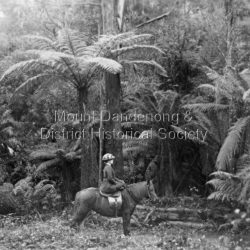 Mrs. Aeneas Gun On Horseback