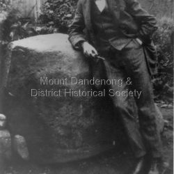 David Low At Sunnyside