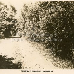 Photograph of the driveway to 'Clovelly' Guest House , formerly 'Braco Park' and now Sherbrooke Communty School.