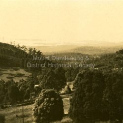 This set of 8 photographs was produced by the Rose Stenograph Co. c1913 to be included in photograph albums. The show tourist scenes of Sassafras and surrounds. The photographs were donated by a family in Western Australia whose parents lived in Sassafras c1918.: Small b & w photograph from a series of 8 showing scenes from Sassafras produced by the Rose Stenograph Co. c1913.: On reverse - Panorama of Sassafras