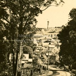 This set of 8 photographs was produced by the Rose Stenograph Co. c1913 to be included in photograph albums. The show tourist scenes of Sassafras and surrounds. The photographs were donated by a family in Western Australia whose parents lived in Sassafras c1918.: Small b & w photograph from a series of 8 showing scenes from Sassafras produced by the Rose Stenograph Co. c1913.: On reverse - The Main Road, Sassafras.