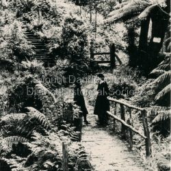 The tourist track running alongside the creek from Sassafras Mechanics Hall to Emerald. In the early 1900s the track started at Rostrevor Guest House.: Black and white copy of Rose Series Post card P. 74 showing two young women standing on a footbridge at Sassafras Gully. A set of steep steps can be seen above them.